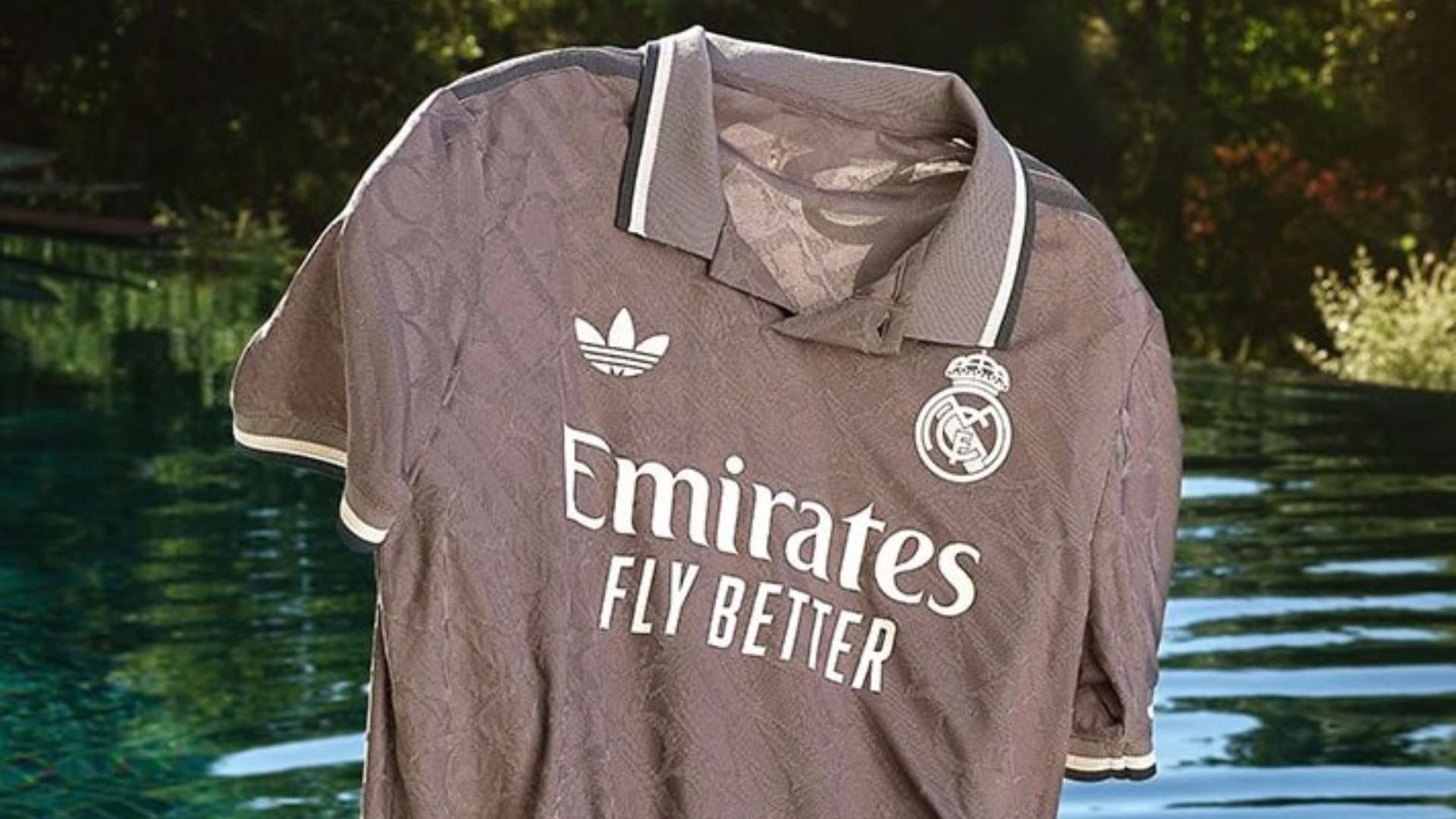 国内外锦标 国内外锦标