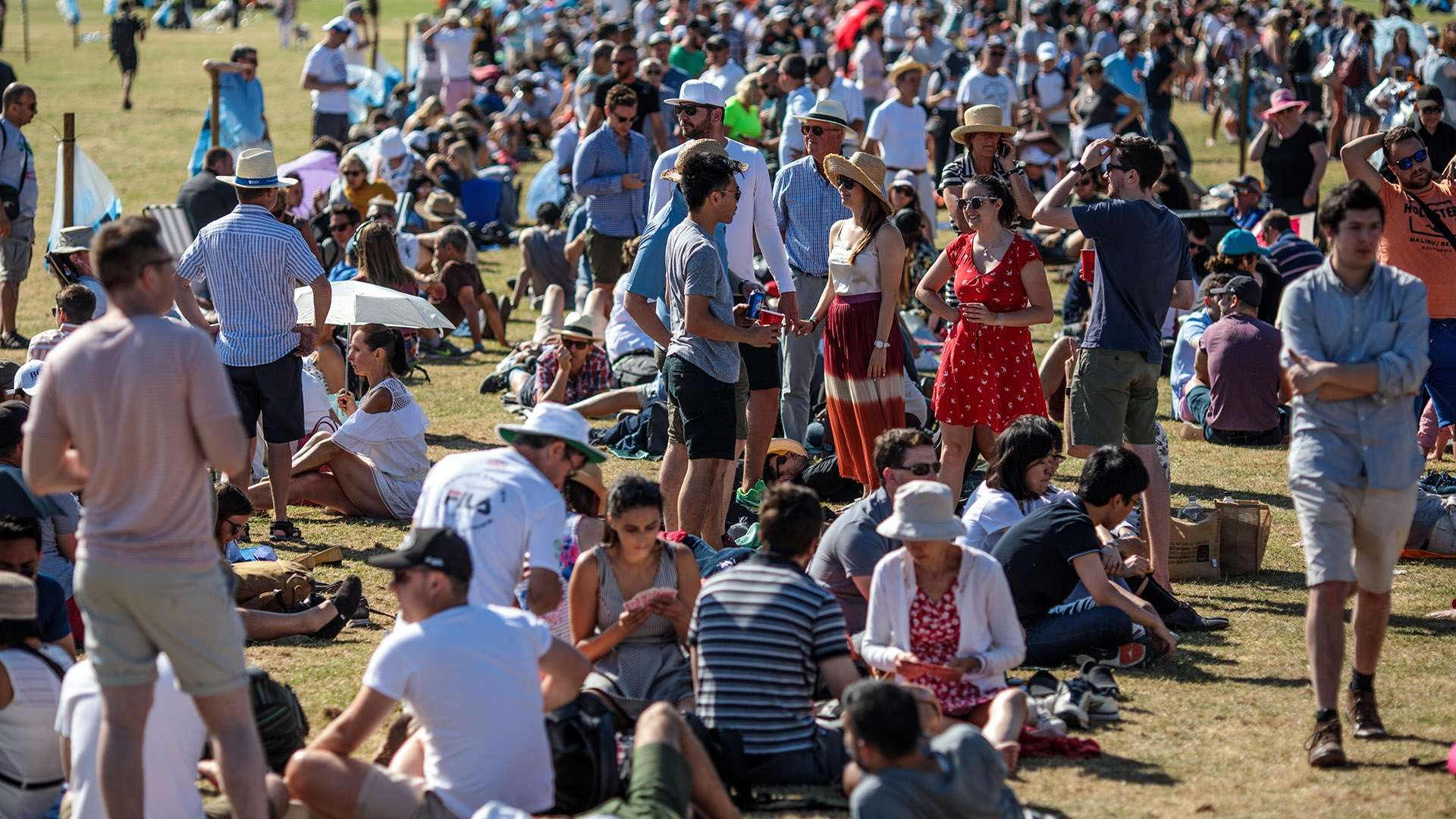 史征途上的 史征途上的